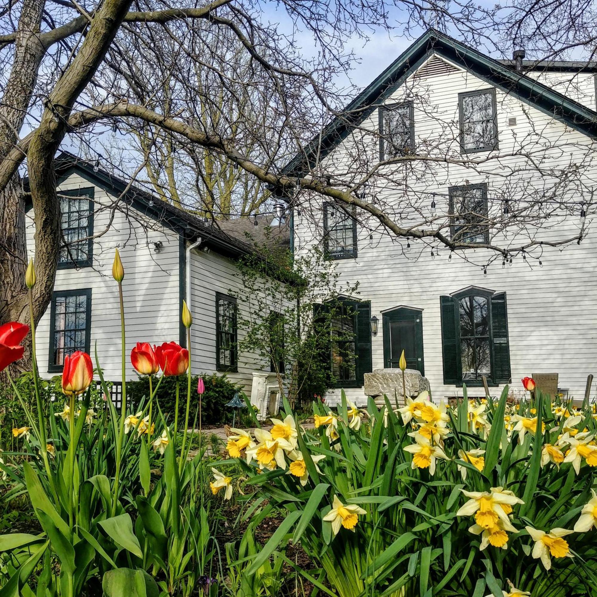 Woodbourne Inn Niagara-on-the-Lake Exteriér fotografie